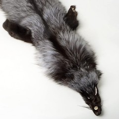 Natural Tanned Silver Fox Hides Fur Pelts Graded 1 Skin for