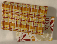 “Fresh Aire” Fabric By BJ Lantz For Studio E Floral & Plaid 2 Pc Fat Quarter Lot
