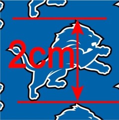Lions Polyester Cotton blend fabric. 18″ x 55″ Detroit Football 1115591