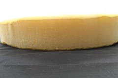 SEAT FOAM UPHOLSTERY color varies CIRCULAR 25MM THICK, 500MM DIAMETER FREE POST