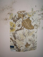 Kravet, Barclay Batera Collection, Bardonhill, Floral, 18″ W X 25″ L, Spun Gold