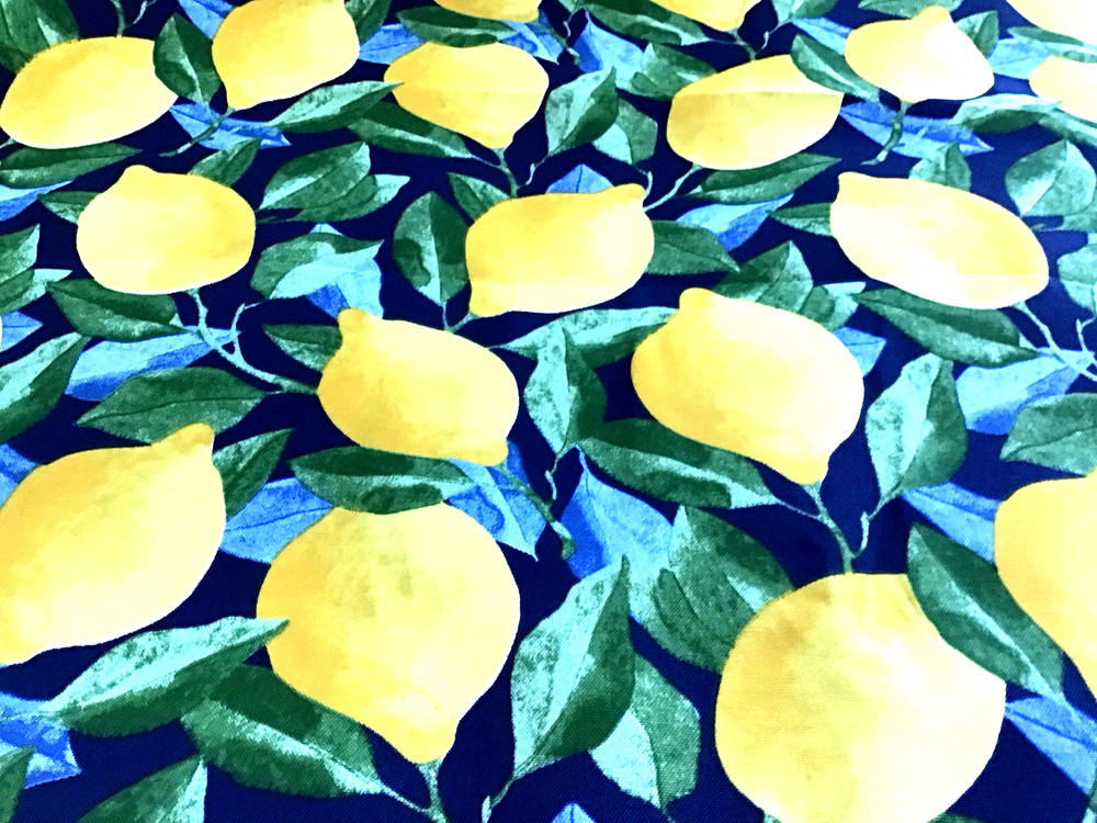 Richloom Solarium Outdoor Fabric Lemons Citrus In Sapphire 4.5 Yard Lot