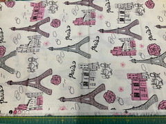 BROTHER SISTER DESIGN STUDIO #B38-6D-P09 PARIS – 1 YARD