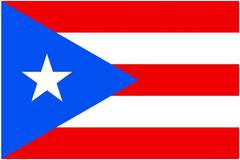 Set of 5 Puerto Rico Flags Iron on Screen Print Fabric Applique Machine Washable