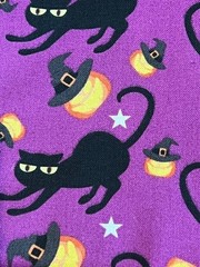 Quilting Fabric Lot – Halloween, 10 Fat Quarters + 1 FREE!