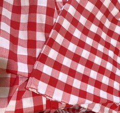 6+ yds x 44″ TRUE VINTAGE Red & White 1” Jumbo Check Gingham Cotton Fabric NOS