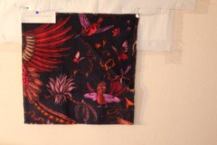 Clarke & Clarke Quetzal Velvet Mythical Bird Various Colors and Sizes