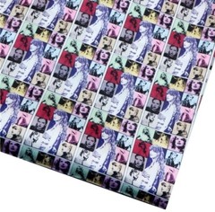 Singer PolyCotton blend fabric. Music concert album 20″x55″ 1212146 ONE YARD