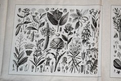 Andover Fabrics Cotton Fabric Panel Floral Botanical Quilt Blocks HTF OOP