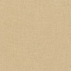 Cotton Couture in Bisque | Cotton Couture | Michael Miller