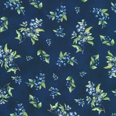 KAUFMAN – Blueberry Brunch by Sevenberry for Robert Kaufman Fabrics – Starry