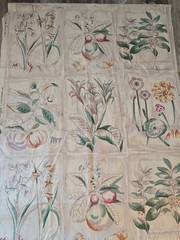 P Kaufman Decorator Fabric Large Scale Botanical Floral 54 X 102″