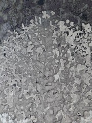 ZOFFANY CURTAIN FABRIC DESIGN Belvoir 5 1/2 Yards MINERAL