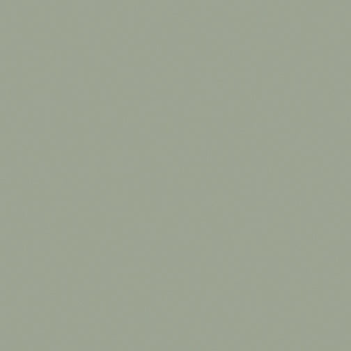 Superior Solids Sage – 3000B-41