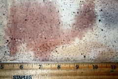 PAINTED DESERT IN BROWNS FROM HOFFMAN – 100% COTTON FABRIC