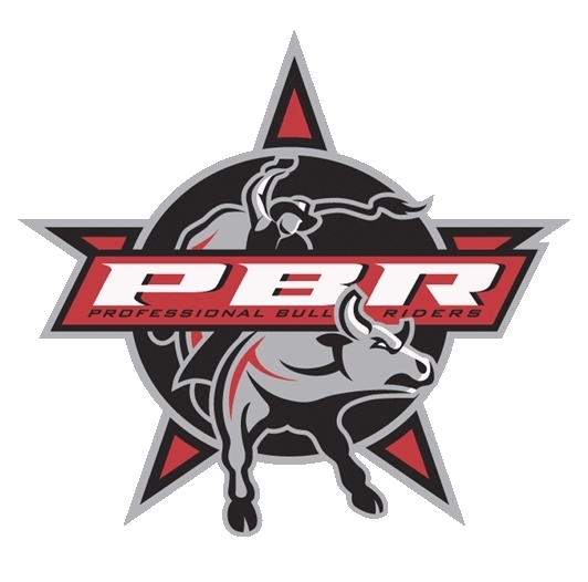 PBR # 10 – 8 x 10 – T Shirt Iron On Transfer