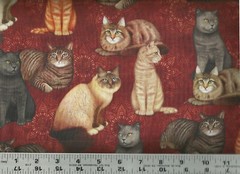 Quilting Treasures Realistic Cats Tabby Seal Point 100% Cotton Quilt Fabric BTY