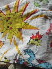 anime pokemon charizard twin bed sheet fun fabric flannel flat gently used