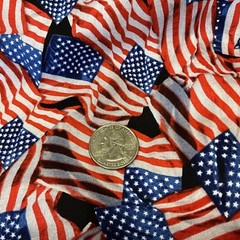 Exclusively For Joann U.S Flag Cotton 2.08 Yards