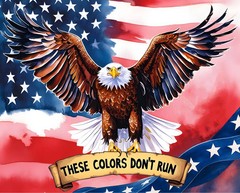 Brave Like An Eagle Fabric Panel 36x 44 America 250 Years