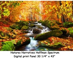 Natures Narratives Canyon Cotton Quilt Fabric by Hoffman BTY R4678-646