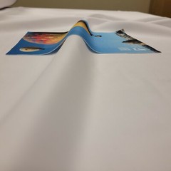 Sublimation Fabric – Scuba Polyester Stretch – Prepared for Print fabric