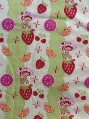 Strawberry Shortcake Citrus Fruits Cotton Fabric – BTFQ: 18” x 22”