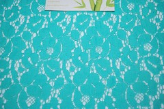 Cotton Nylon Lace woven fabric 58″ Wide beautiful lace Floral soft Minty Green