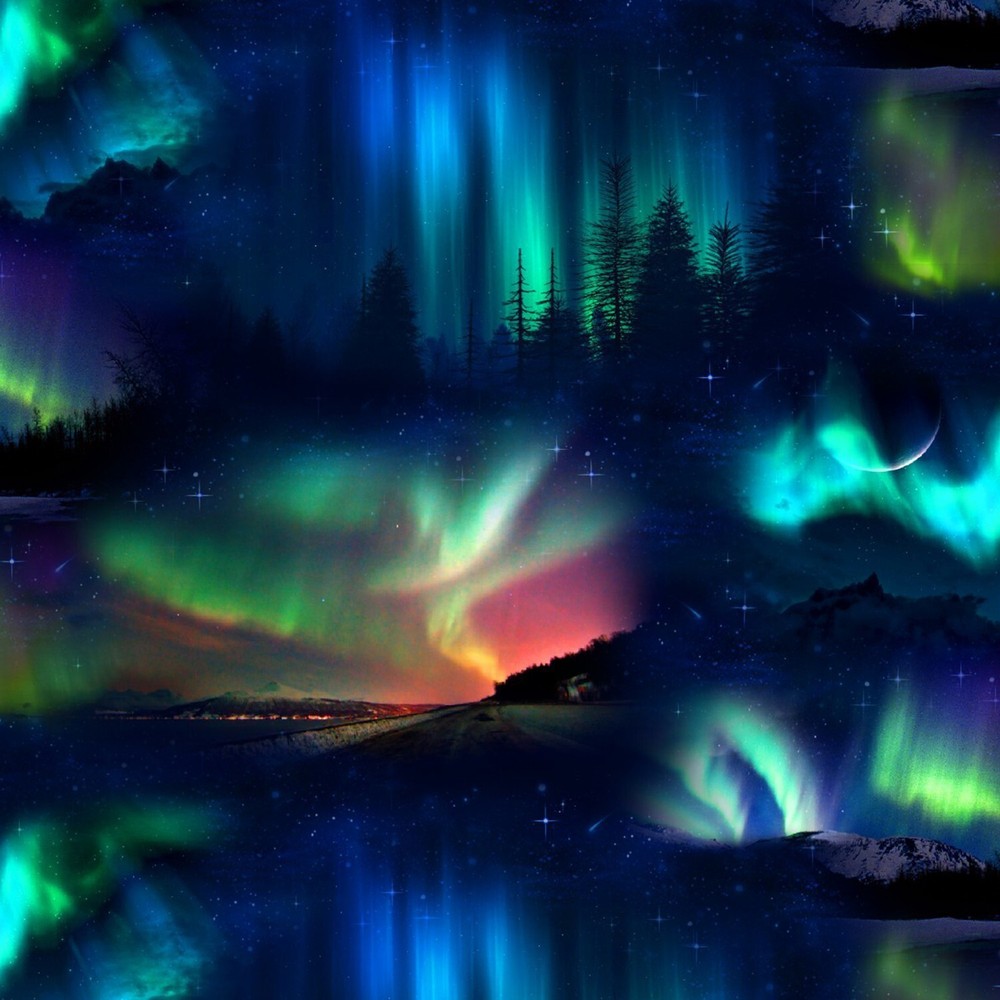 Landscape Medley Black Northern Lights Elizabeth Studio 44″ Wide BTY