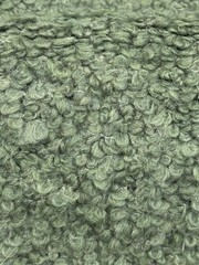 Holly Hunt/ Great Plains Teddy in Mint, 6yrds, Alpaca Boucle