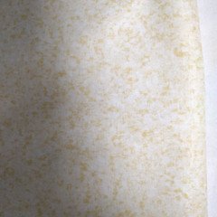 Vanilla/Cream Color Blends Allover Fabric Material