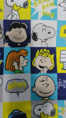 Peanuts Worldwide 2021 Flannel Fabric Checks Comic Grid 1 yd x 44″Snoopy & Gang