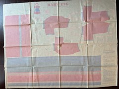 Springs Ind. Print Baby Pig In Dress Fabric Panel Cut and Sew Panel Cotton
