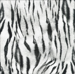 Robert Kaufman Animal Kingdom Snow 19875-87 Cotton Fabric by the Yard