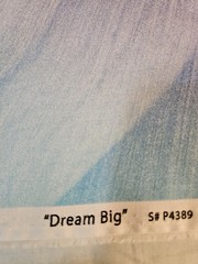 Dream Big Quilt Panel Hoffman S#P4389 Hoffman Spectrum By Jeanie Sumrall-Ajero