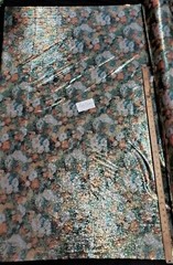 Digitally Printed Stretch Sequin on Spandex Fabric Sold BTY “Green/Orange Floral