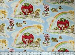 VINTAGE 2012 Strawberry Shortcake Rainbow – BTFQ: 18” x 22”