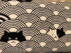 Blizzard Fleece -3.5 Yard piece- 59 inches wide – Hiding Cat / Cat Gray