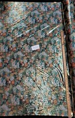 Digitally Printed Stretch Sequin on Spandex Fabric Sold BTY “Green/Orange Floral
