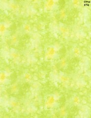 Solid-ish Tone on Tone cotton fabric BTY Timeless Treasures AQUA blue Tonal