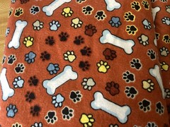 Snuggle Flannel Paws & Bones fabrics JO-ANN FABRICS New 5 Yards Available BTY