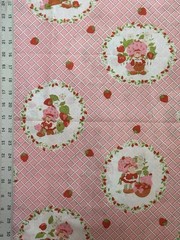 VINTAGE 1980s Strawberry Shortcake on Pink – BTHY: 18” x 44”