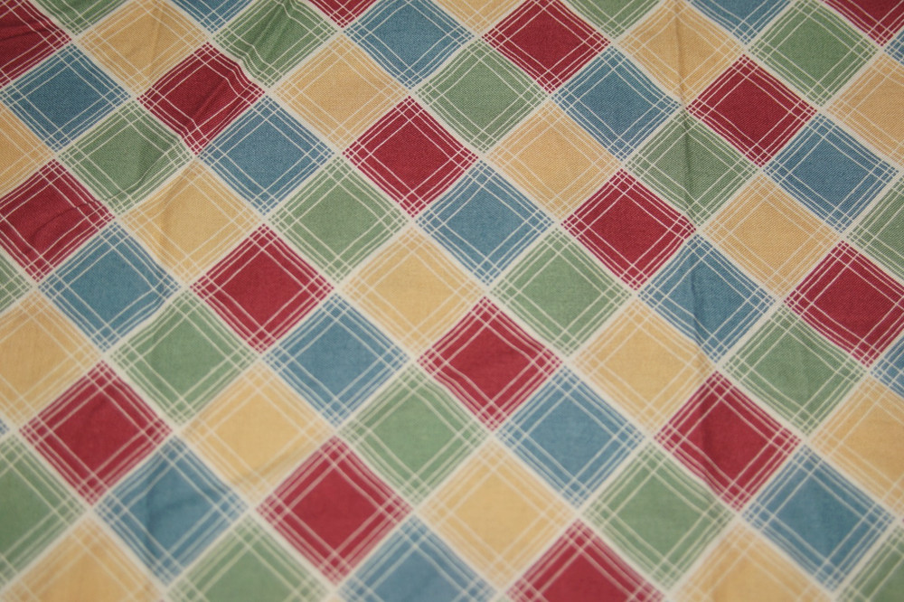 Thimbleberries for RJR Fashion Fabrics ‘Daisy Days’ Grid/Plaid Pattern 5/6 yds
