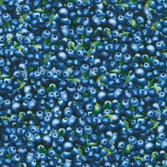 KAUFMAN – Blueberry Brunch by Sevenberry for Robert Kaufman Fabrics – Blueberry