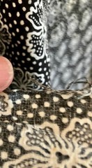 6 yds 24″ 100 % Cotton Fabric Hibiscus Flowers dotted field/Black and White