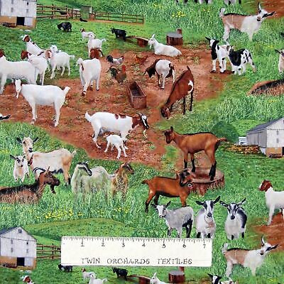 Farm Animal Fabric – Goat Barn Pasture Country Scene – Elizabeth’s Studio YARD