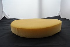 SEAT FOAM UPHOLSTERY color varies CIRCULAR 25MM THICK, 500MM DIAMETER FREE POST