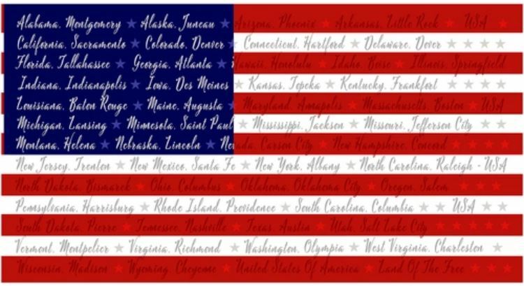 24″ X 44″ Panel American Flag States Capitals USA Cotton Fabric D306.56
