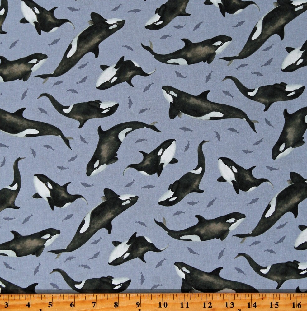 Cotton Orcas Killer Whales Ocean Polar Plungers Fabric Print by the Yard D688.87