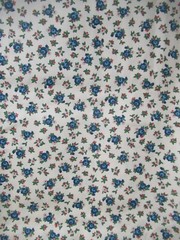Cranston Print Works Schwartz Liebman Tan W/Blue Red Floral VTG SBTYX 44 NEW
